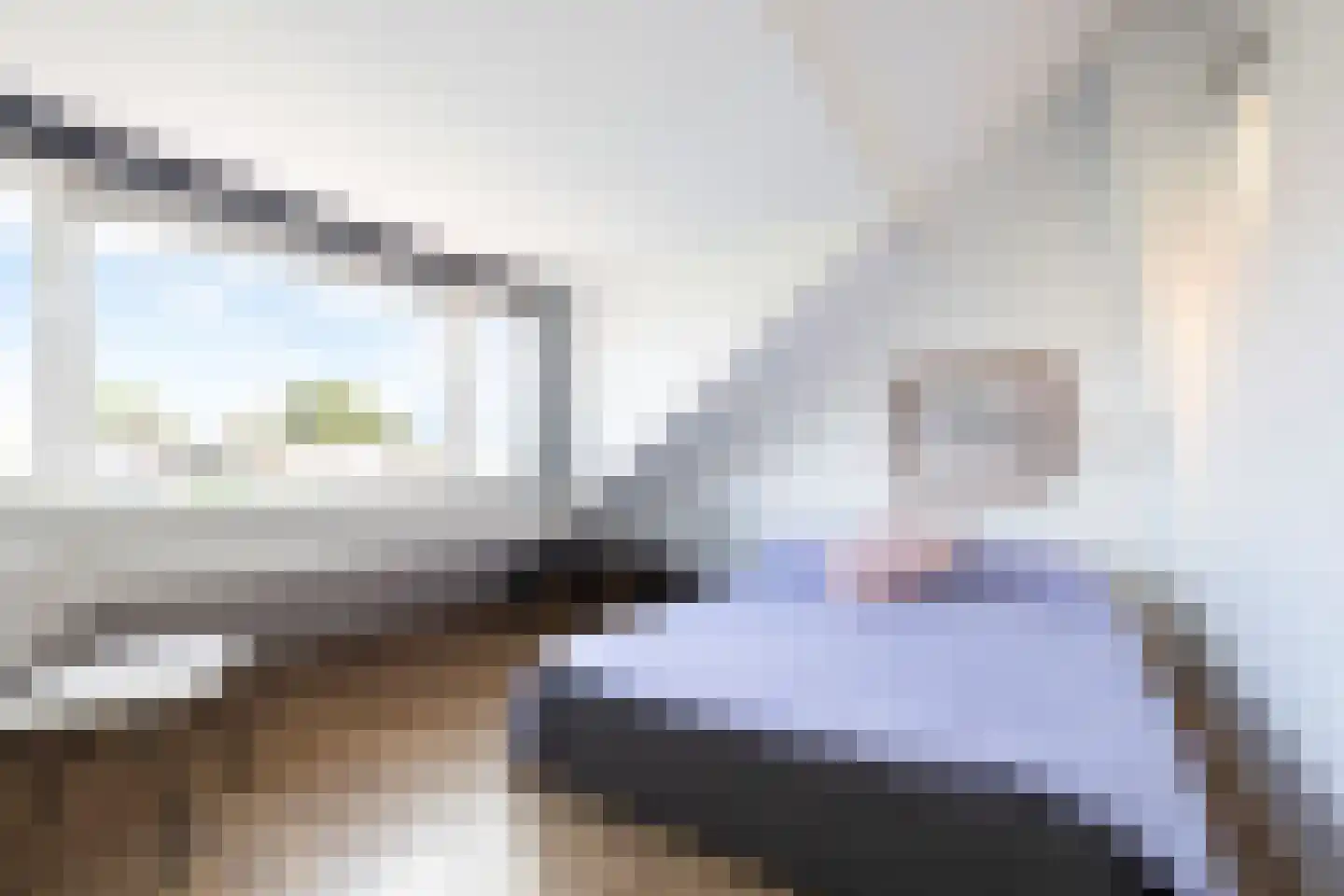 Meeuwenstraat 38 Haarlem thumbnail 51