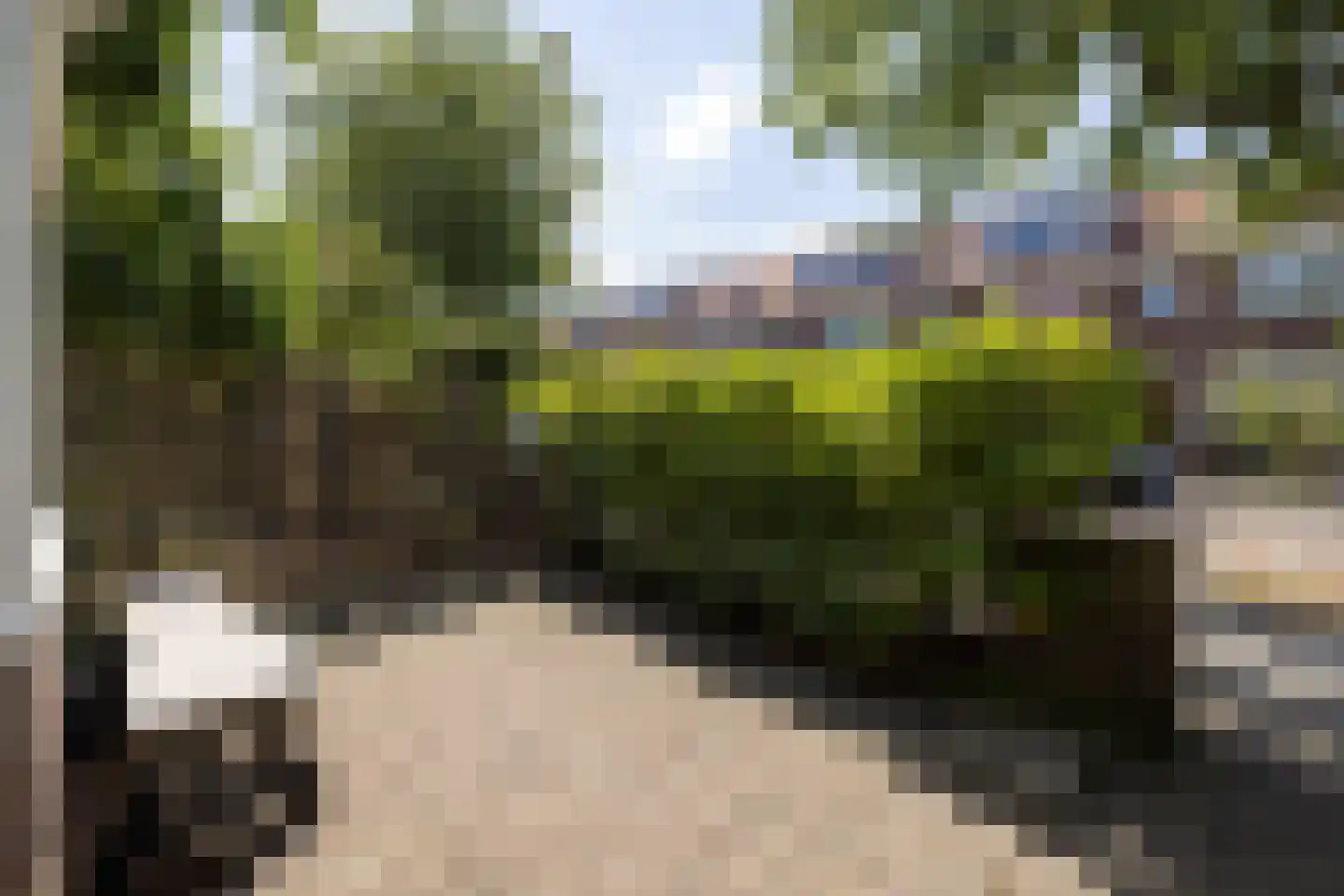 Meeuwenstraat 38 Haarlem thumbnail 7