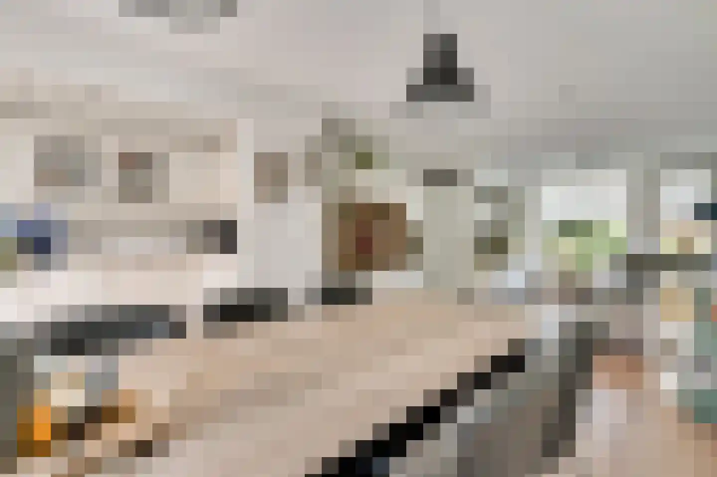 Meeuwenstraat 39 Ospel thumbnail 12