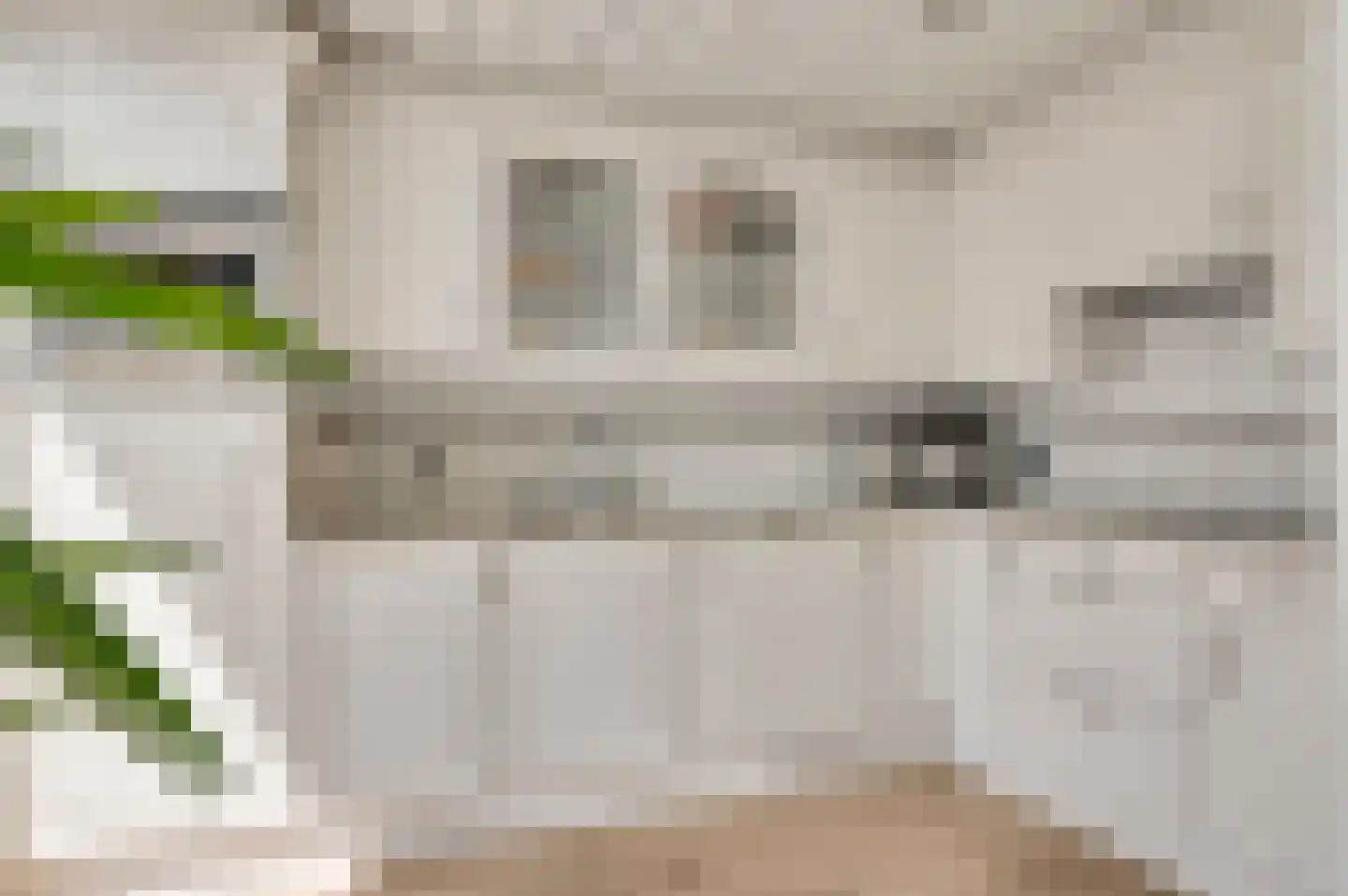 Meeuwenstraat 39 Ospel thumbnail 13