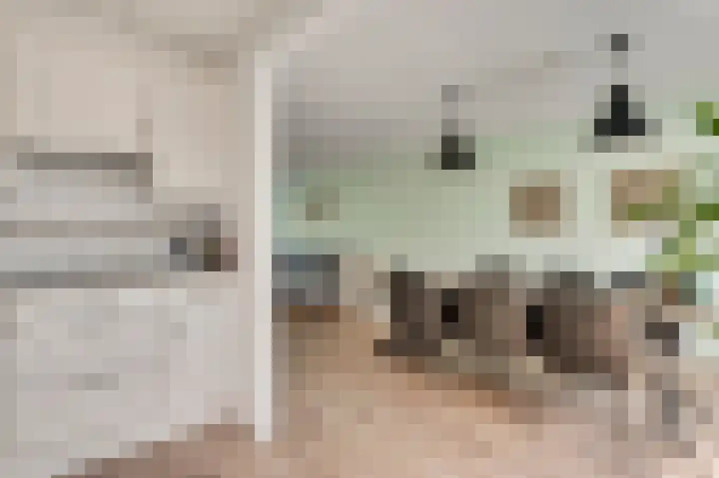 Meeuwenstraat 39 Ospel thumbnail 14