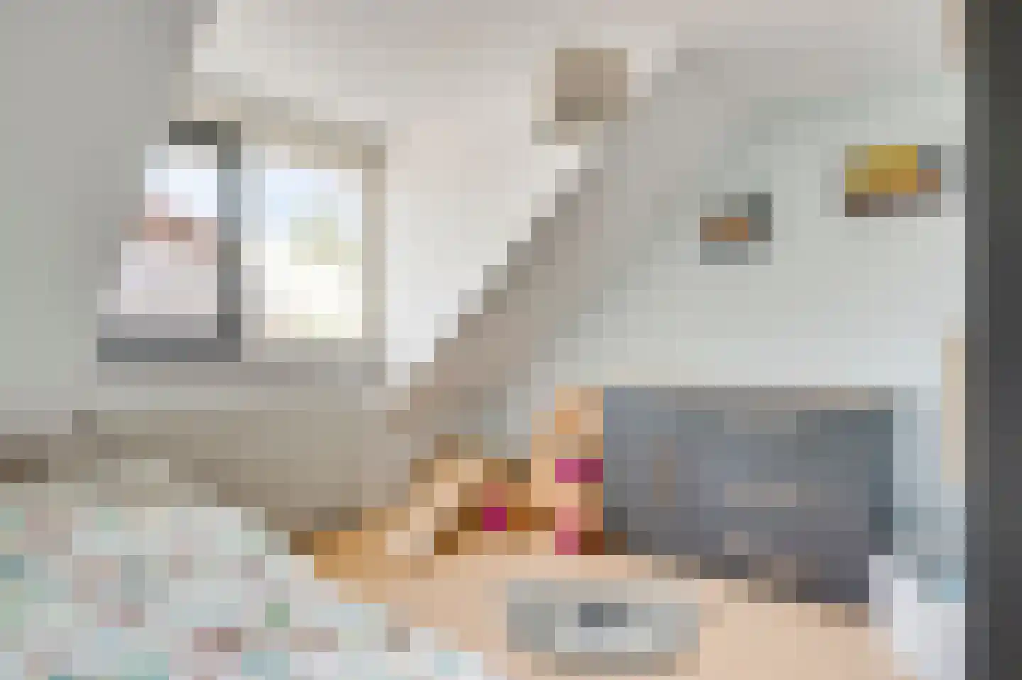 Meeuwenstraat 39 Ospel thumbnail 26