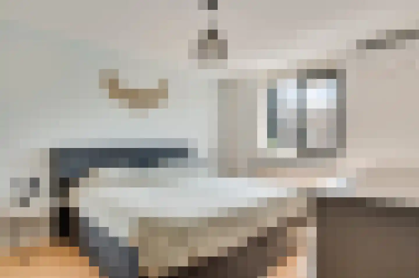 Meeuwenstraat 39 Ospel thumbnail 28