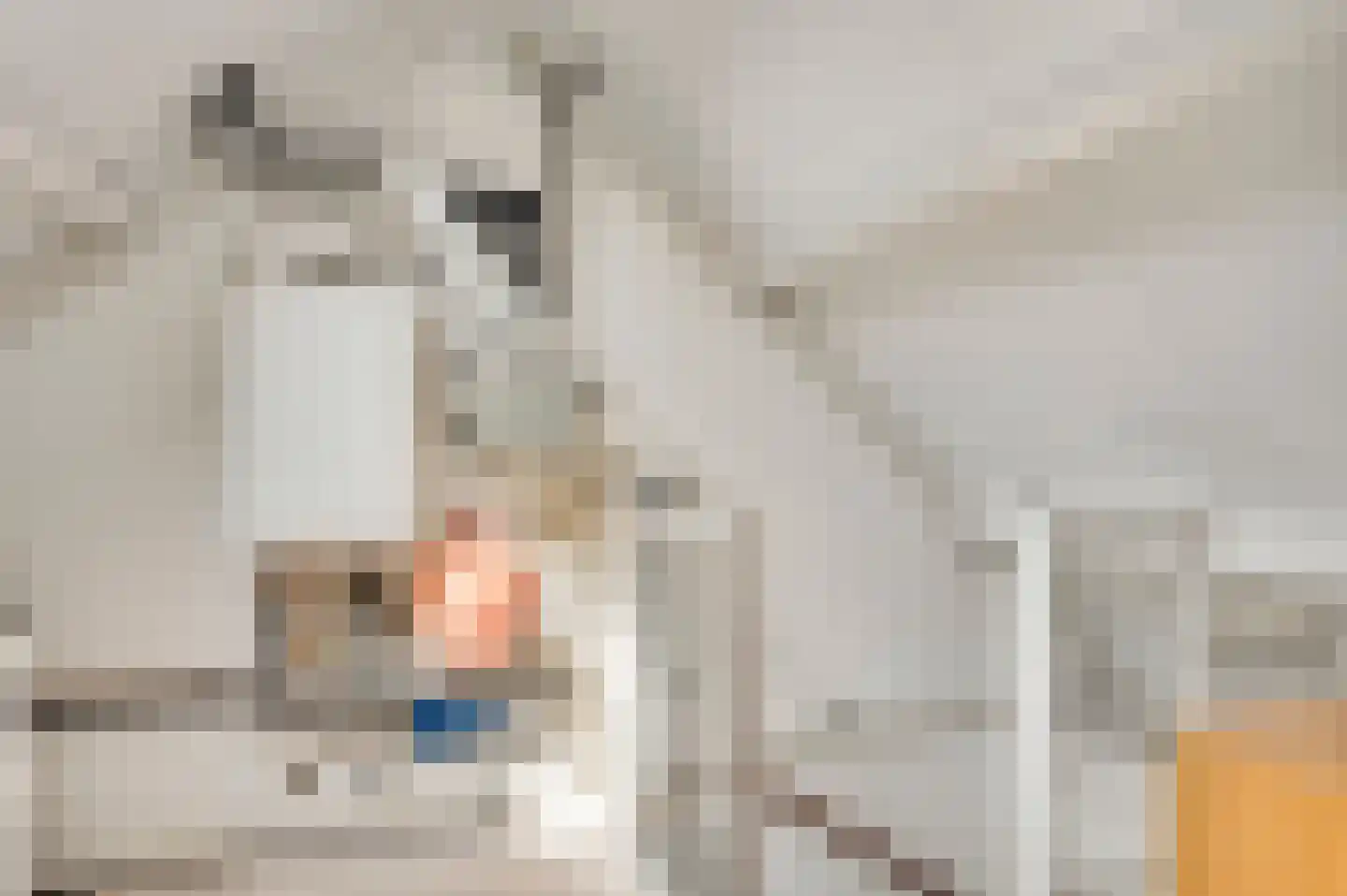 Meeuwenstraat 39 Ospel thumbnail 30