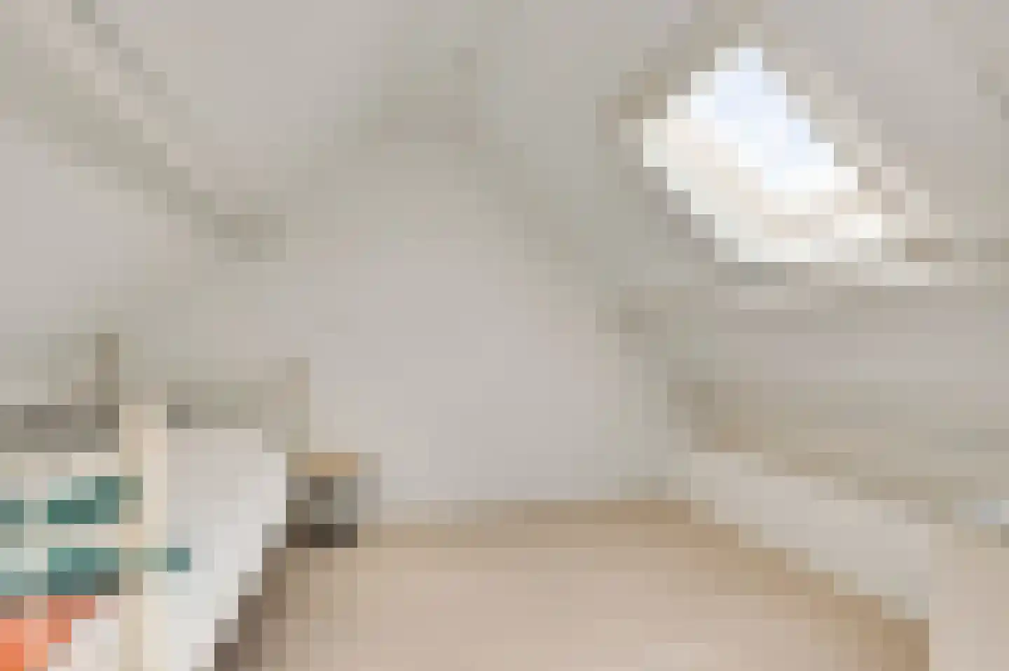 Meeuwenstraat 39 Ospel thumbnail 31