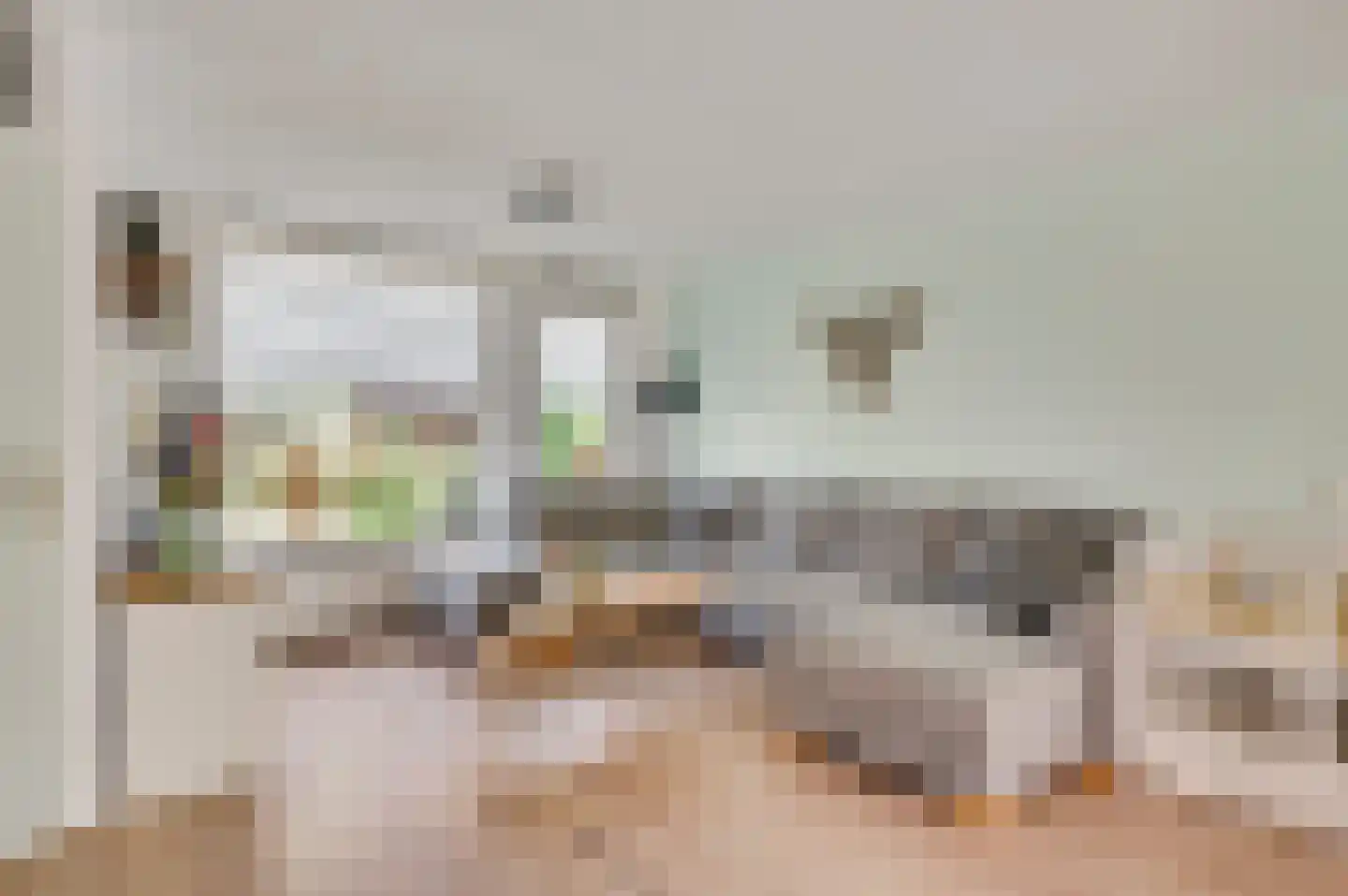Meeuwenstraat 39 Ospel thumbnail 7