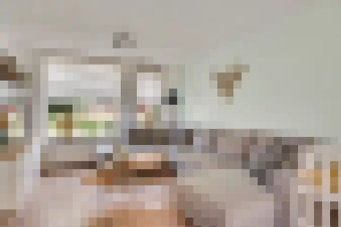 Meeuwenstraat 39 Ospel thumbnail 8