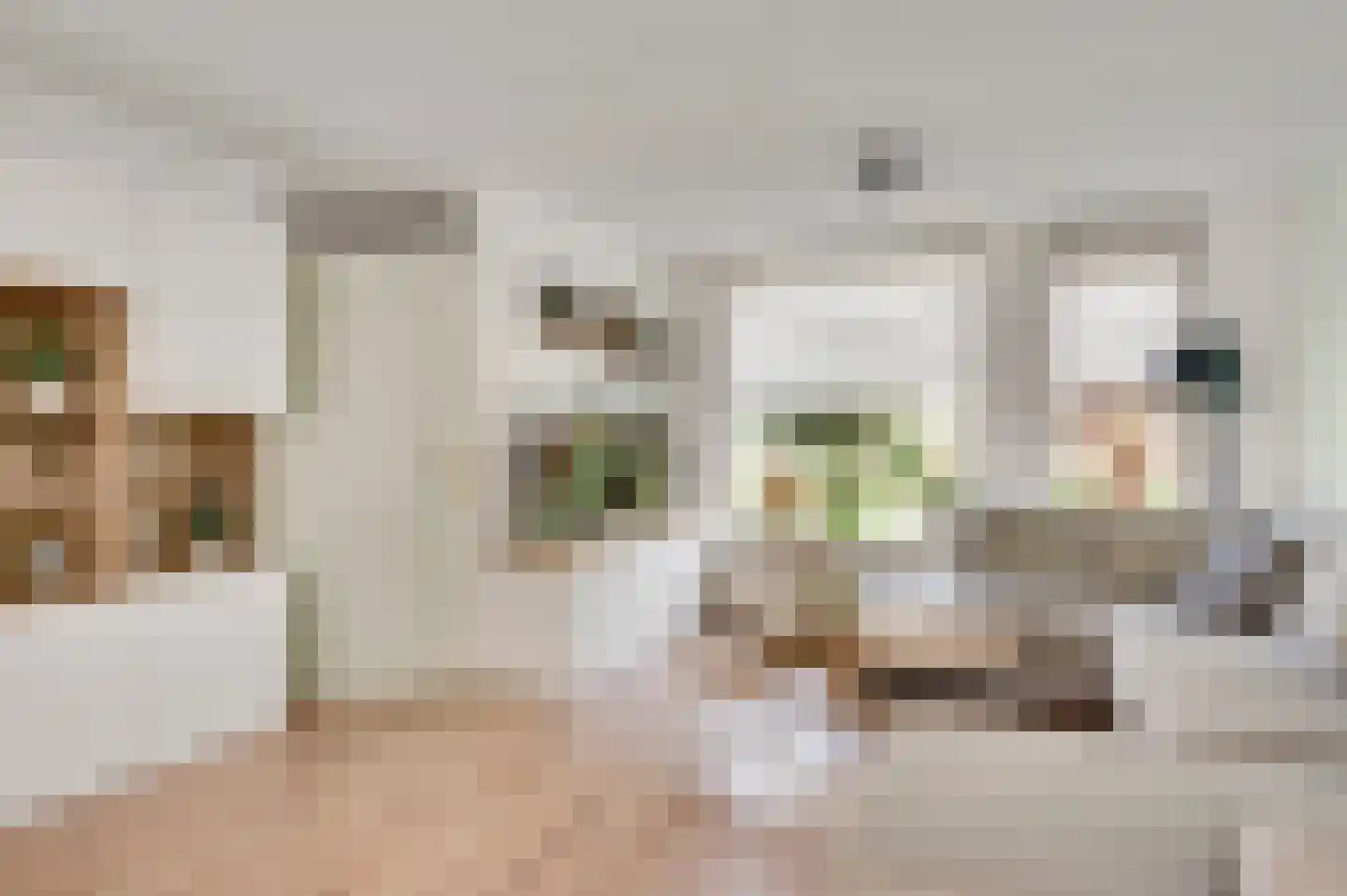 Meeuwenstraat 39 Ospel thumbnail 9