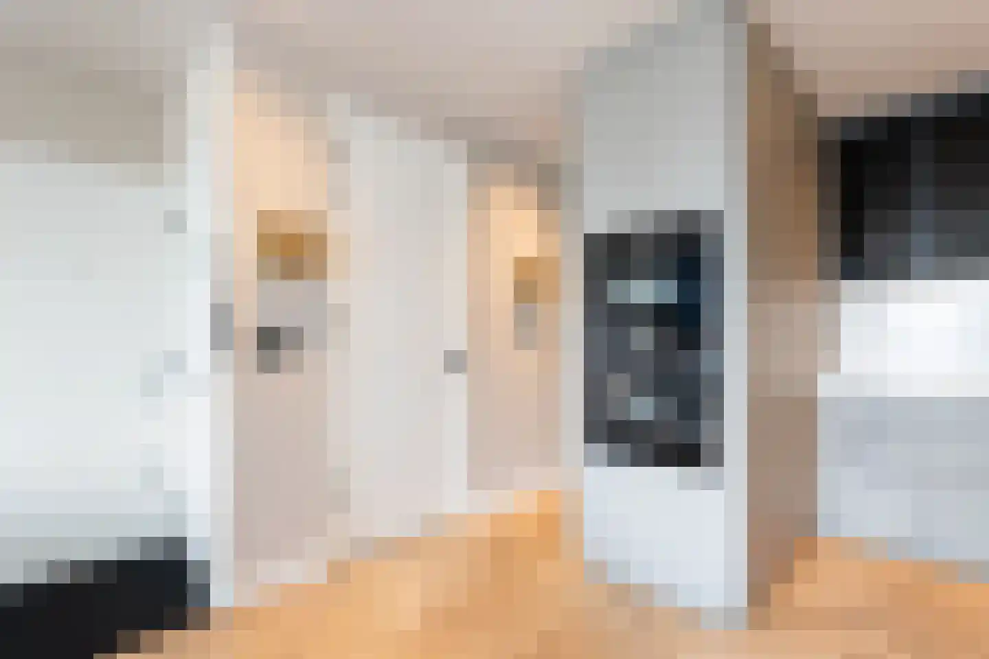 Meeuwenstraat 4 B Rotterdam thumbnail 12