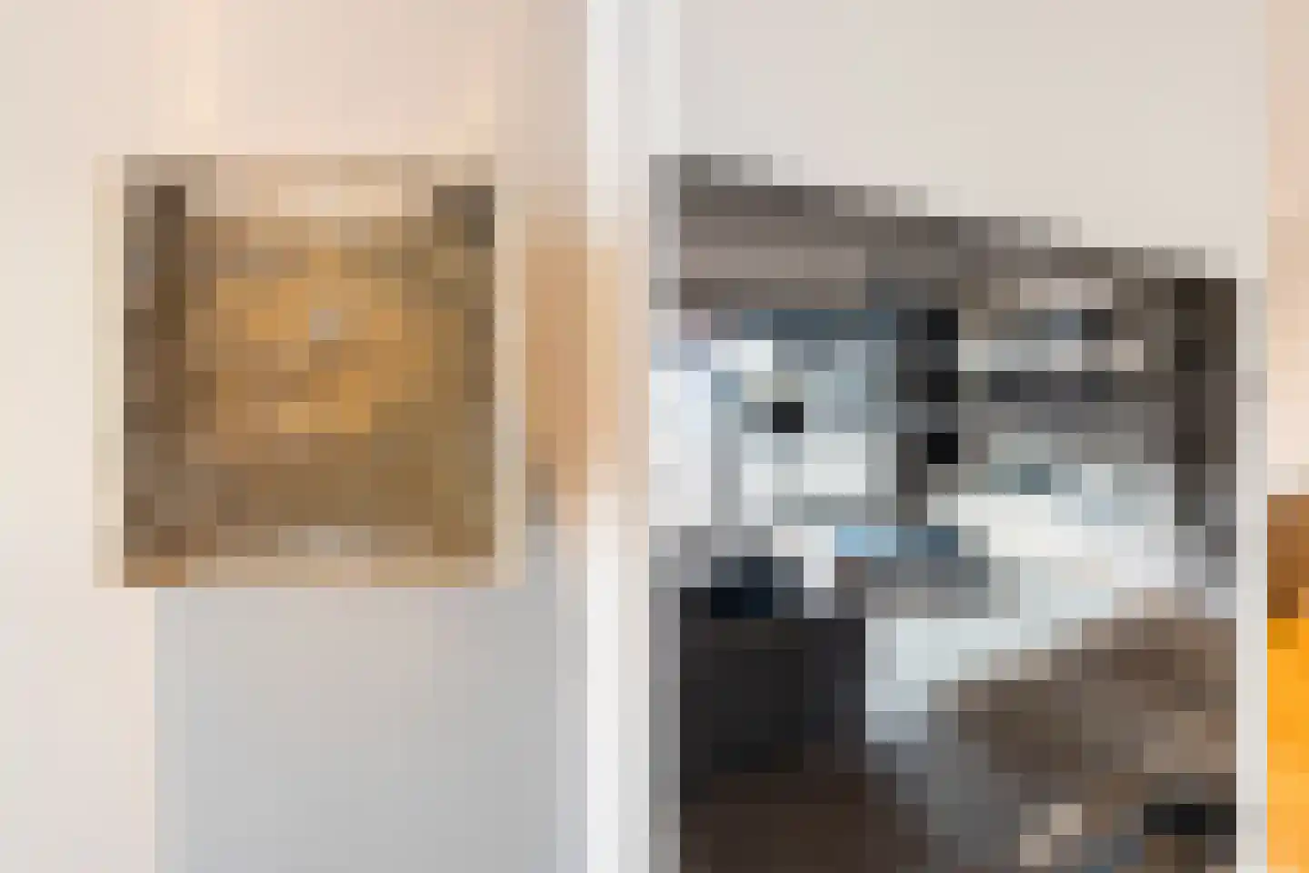 Meeuwenstraat 4 B Rotterdam thumbnail 17