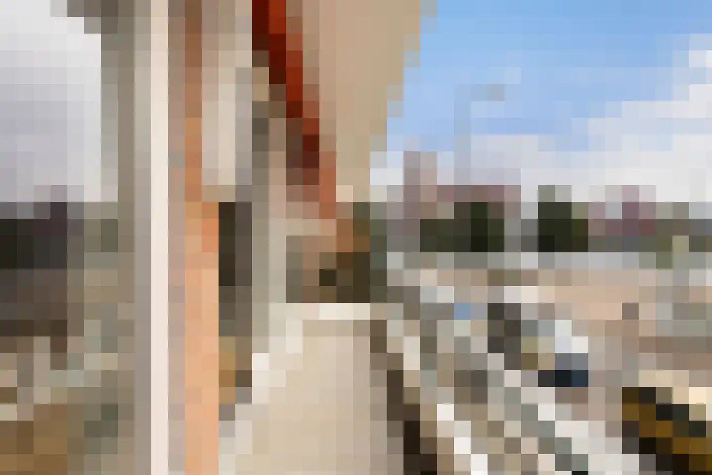 Meeuwenstraat 4 B Rotterdam thumbnail 19