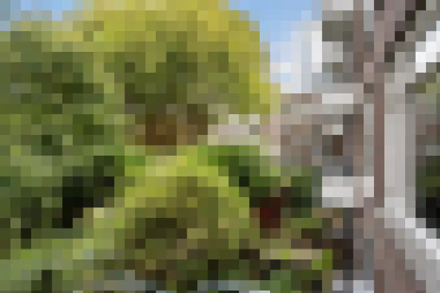 Meeuwenstraat 4 B Rotterdam thumbnail 27