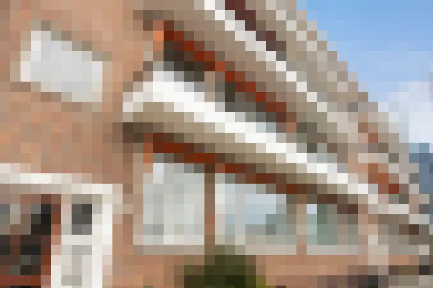 Meeuwenstraat 4 B Rotterdam thumbnail 36