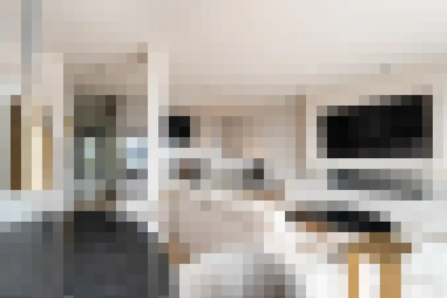 Meeuwenstraat 4 B Rotterdam thumbnail 9