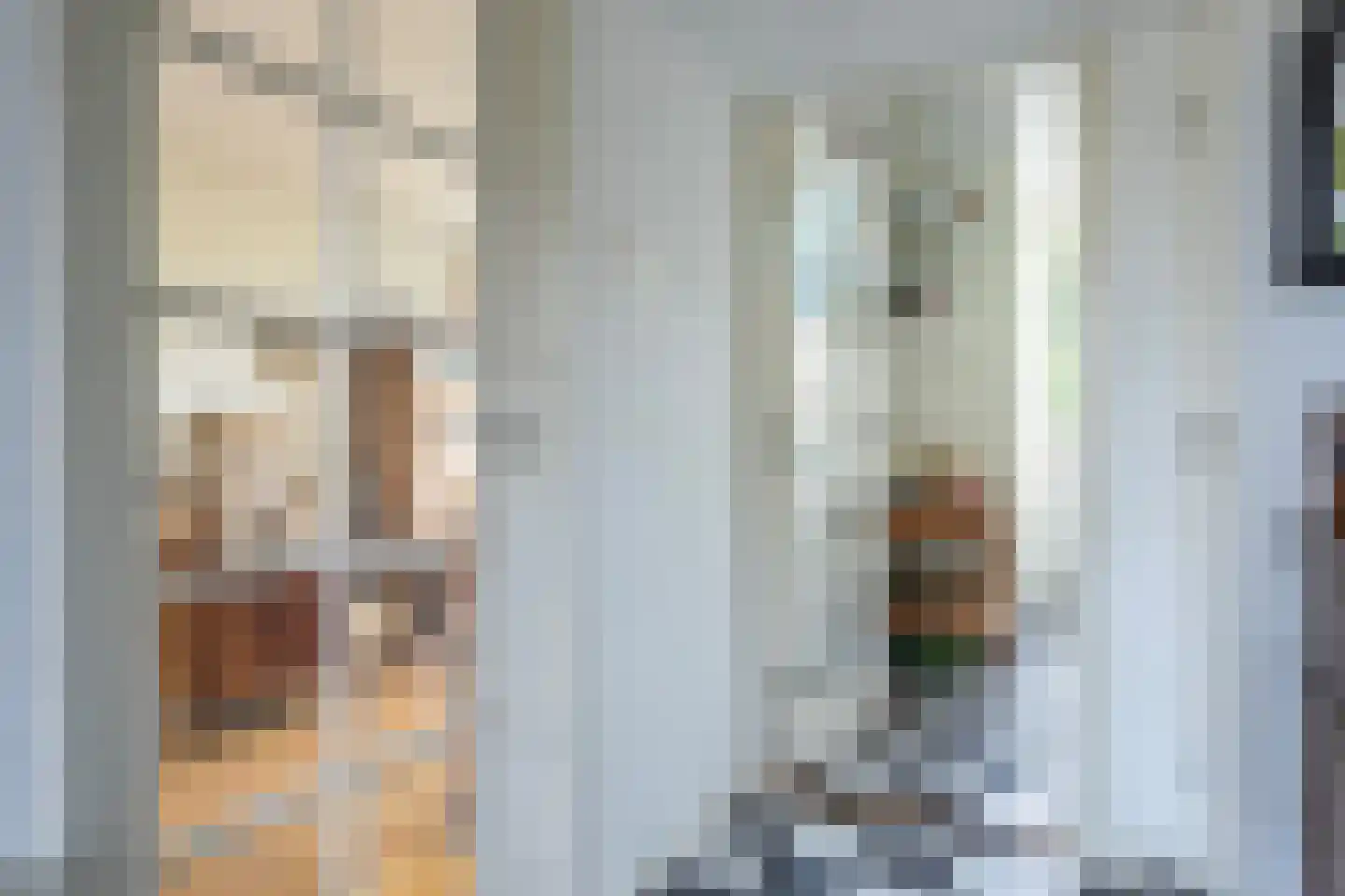 Meeuwenstraat 4 Goor thumbnail 13
