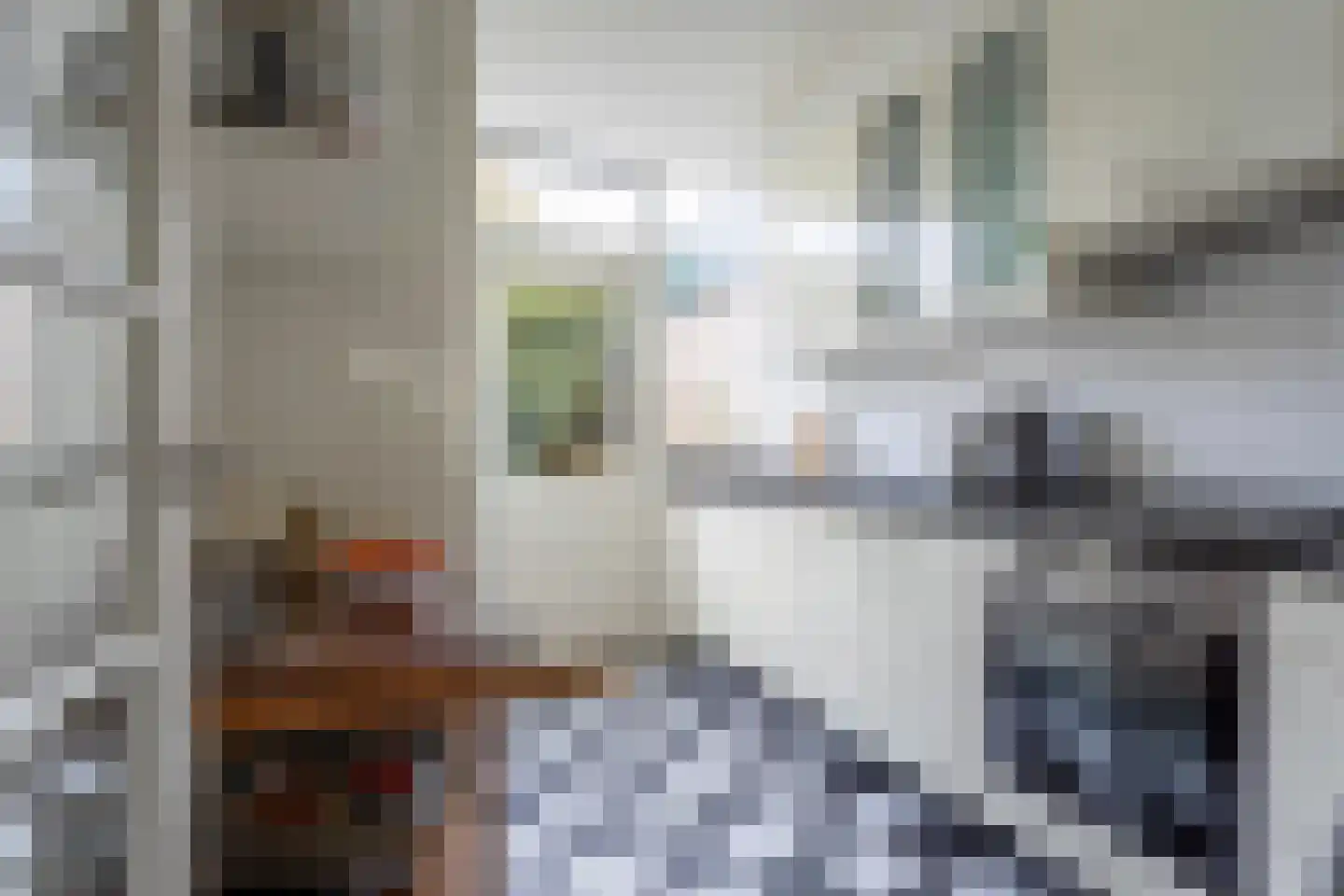 Meeuwenstraat 4 Goor thumbnail 14