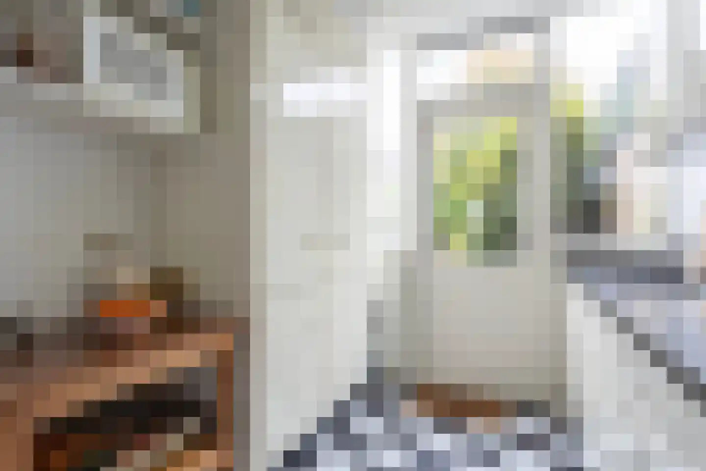Meeuwenstraat 4 Goor thumbnail 15