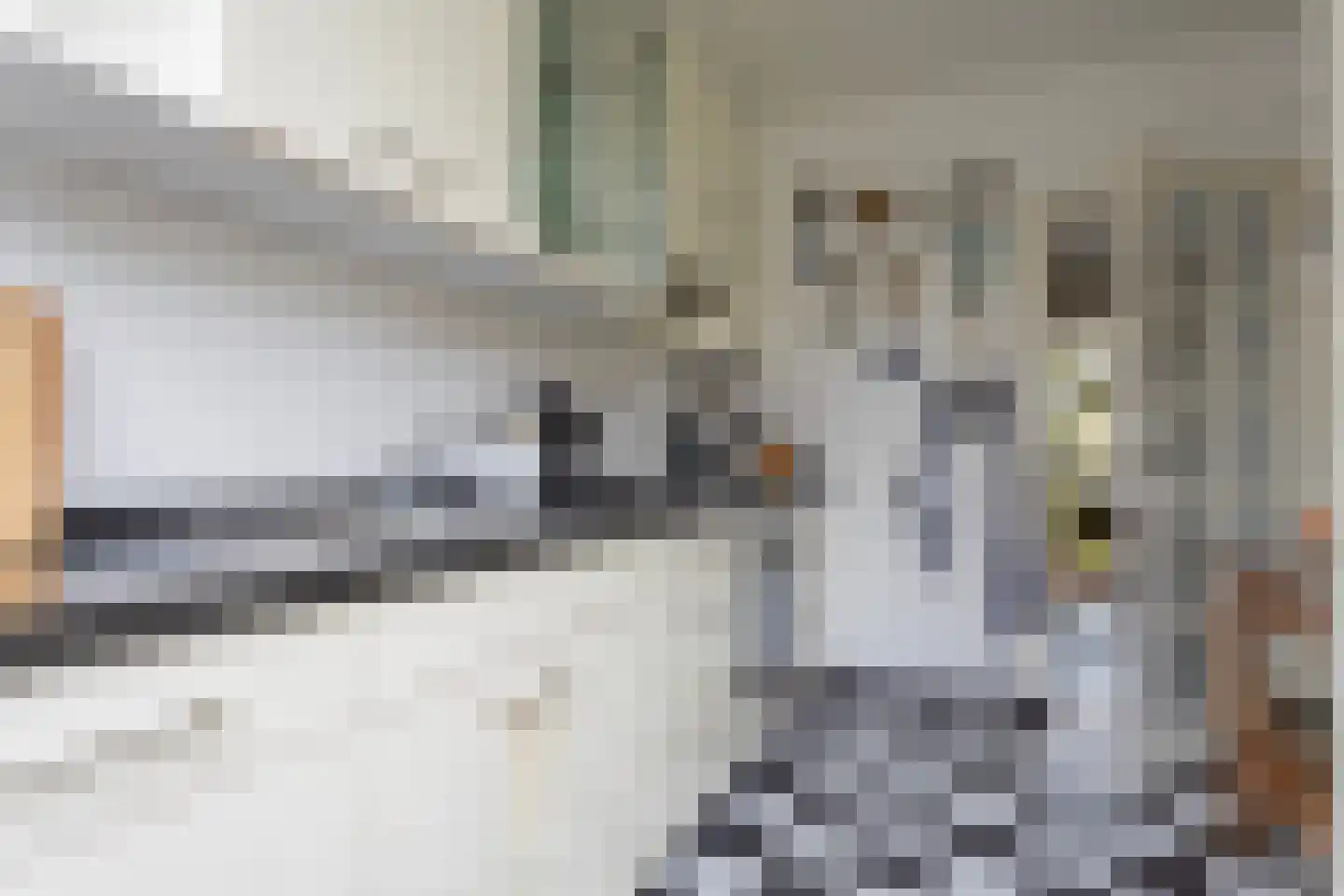 Meeuwenstraat 4 Goor thumbnail 16