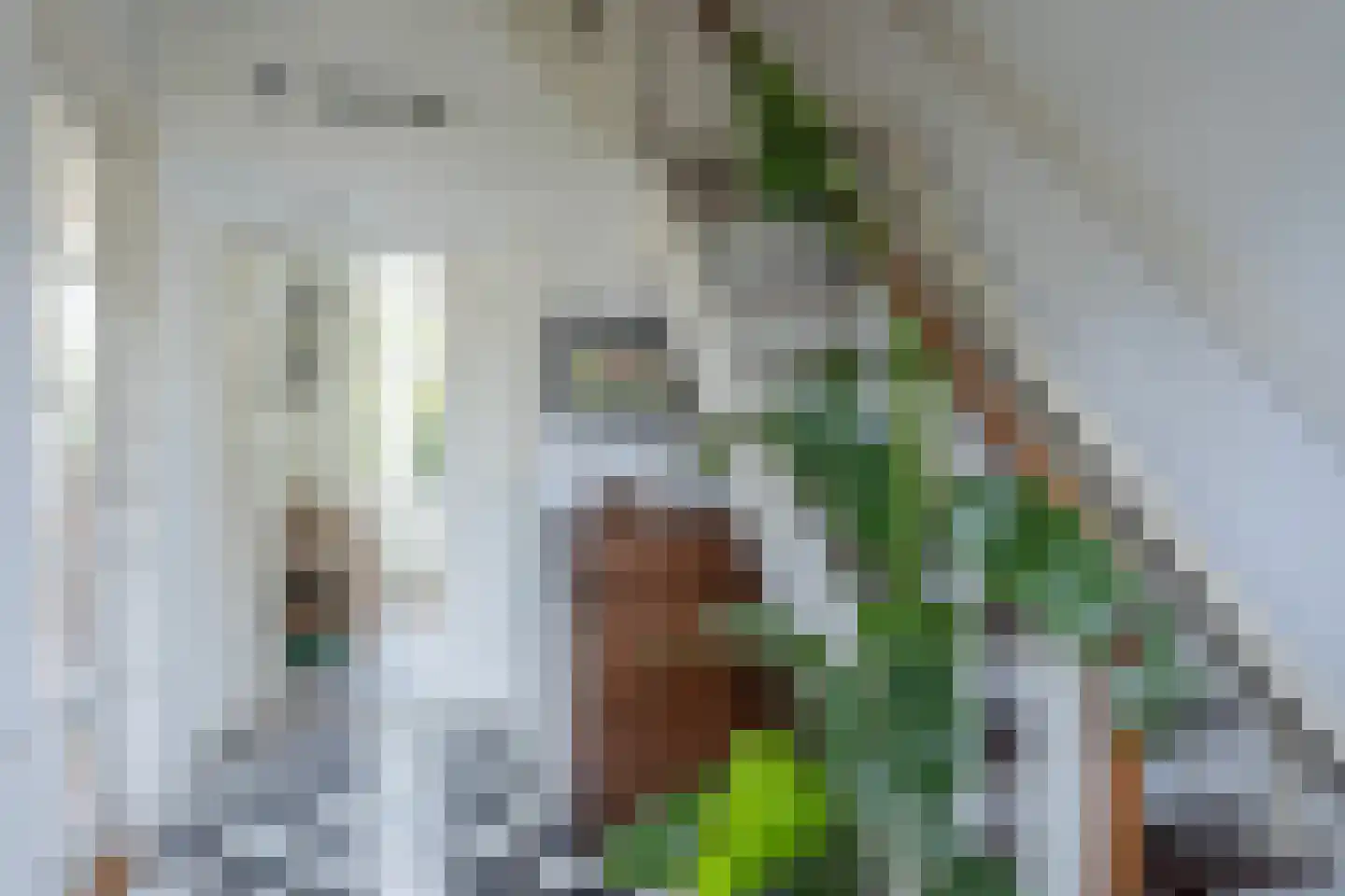 Meeuwenstraat 4 Goor thumbnail 17