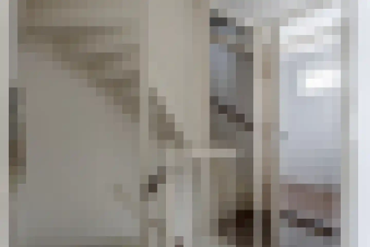 Meeuwenstraat 4 Goor thumbnail 18