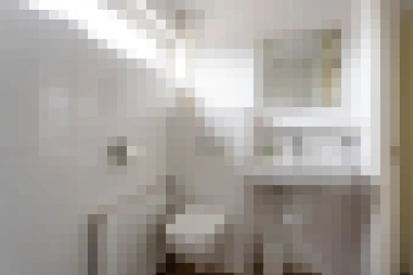 Meeuwenstraat 4 Goor thumbnail 19