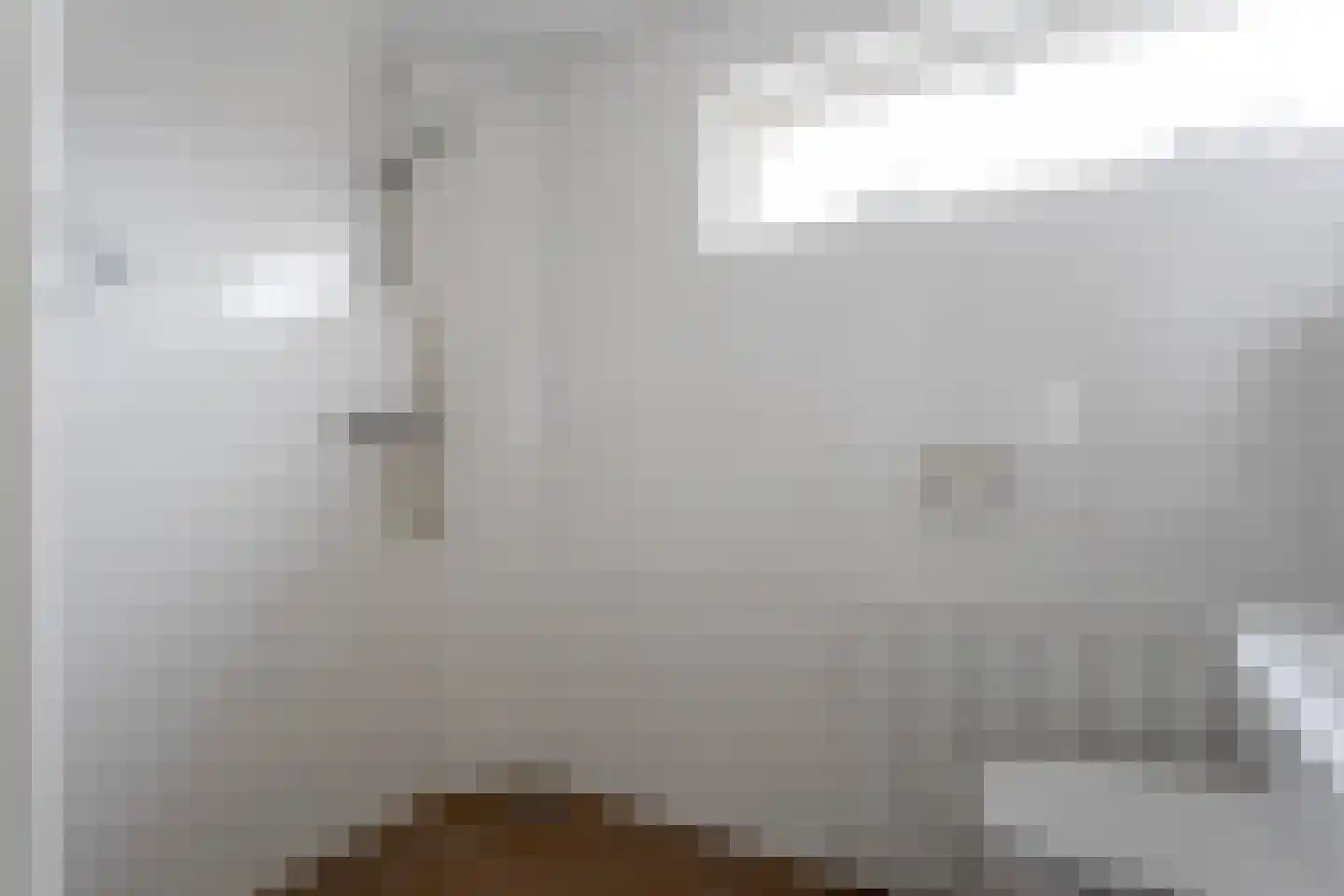 Meeuwenstraat 4 Goor thumbnail 20