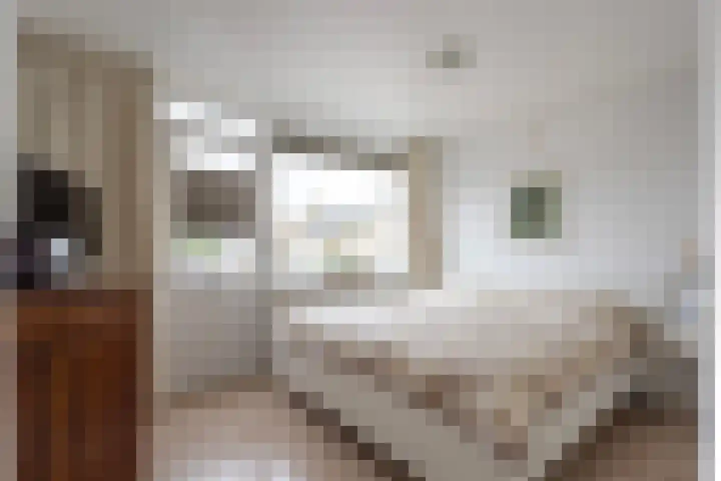 Meeuwenstraat 4 Goor thumbnail 21