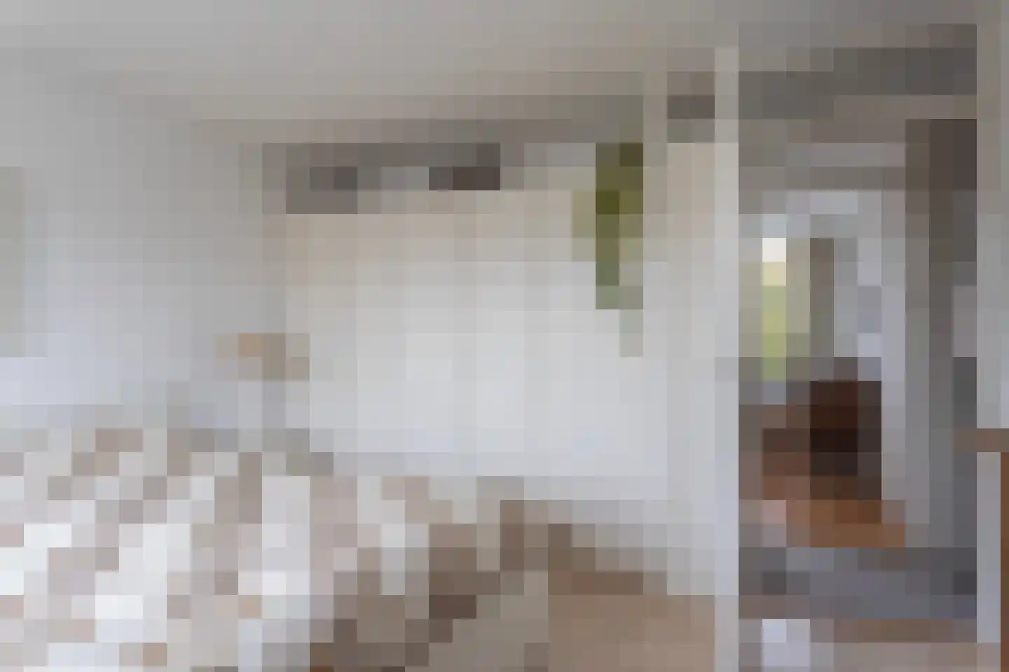 Meeuwenstraat 4 Goor thumbnail 22