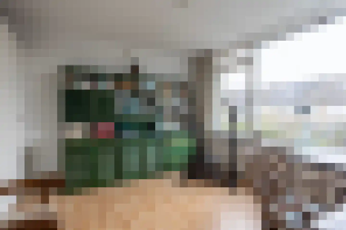 Meeuwenstraat 4 Goor thumbnail 24