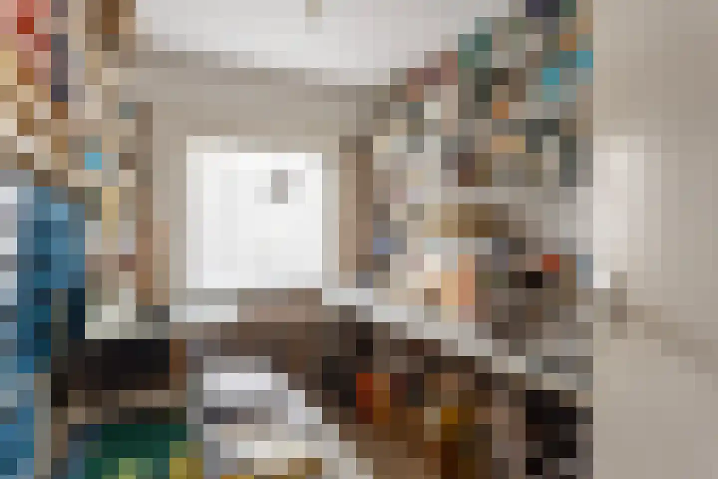 Meeuwenstraat 4 Goor thumbnail 26