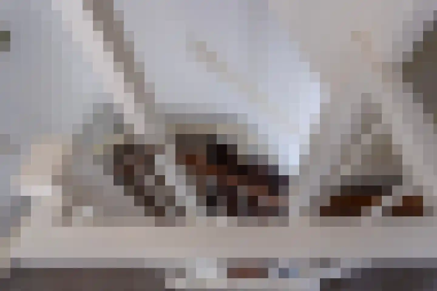 Meeuwenstraat 4 Goor thumbnail 28