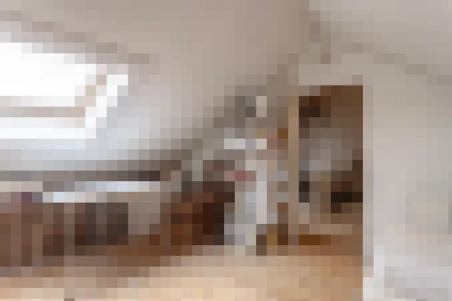 Meeuwenstraat 4 Goor thumbnail 29