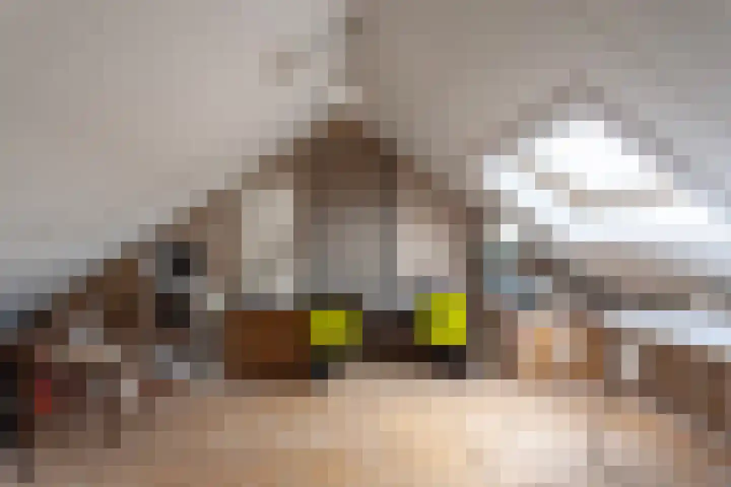Meeuwenstraat 4 Goor thumbnail 30