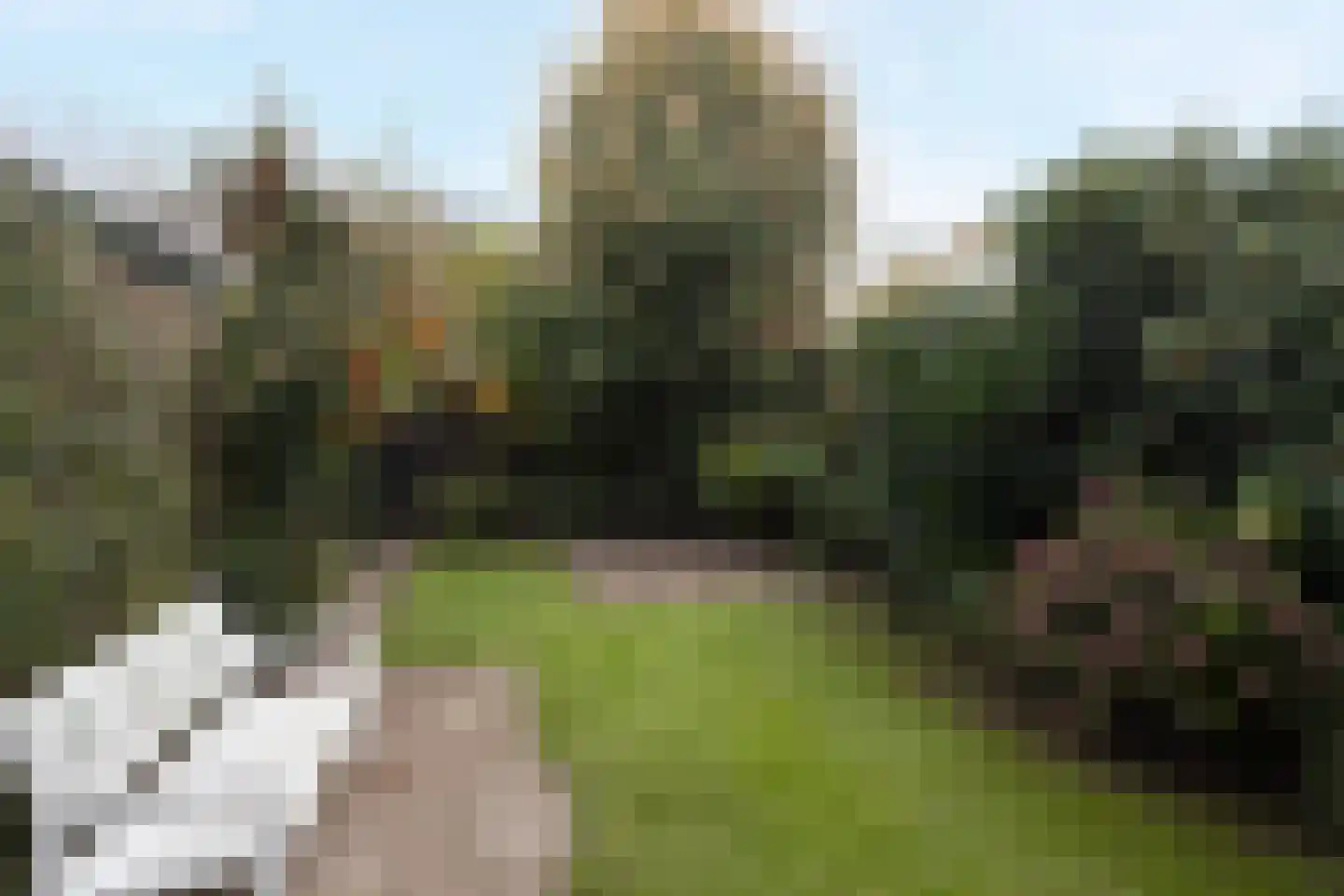 Meeuwenstraat 4 Goor thumbnail 32