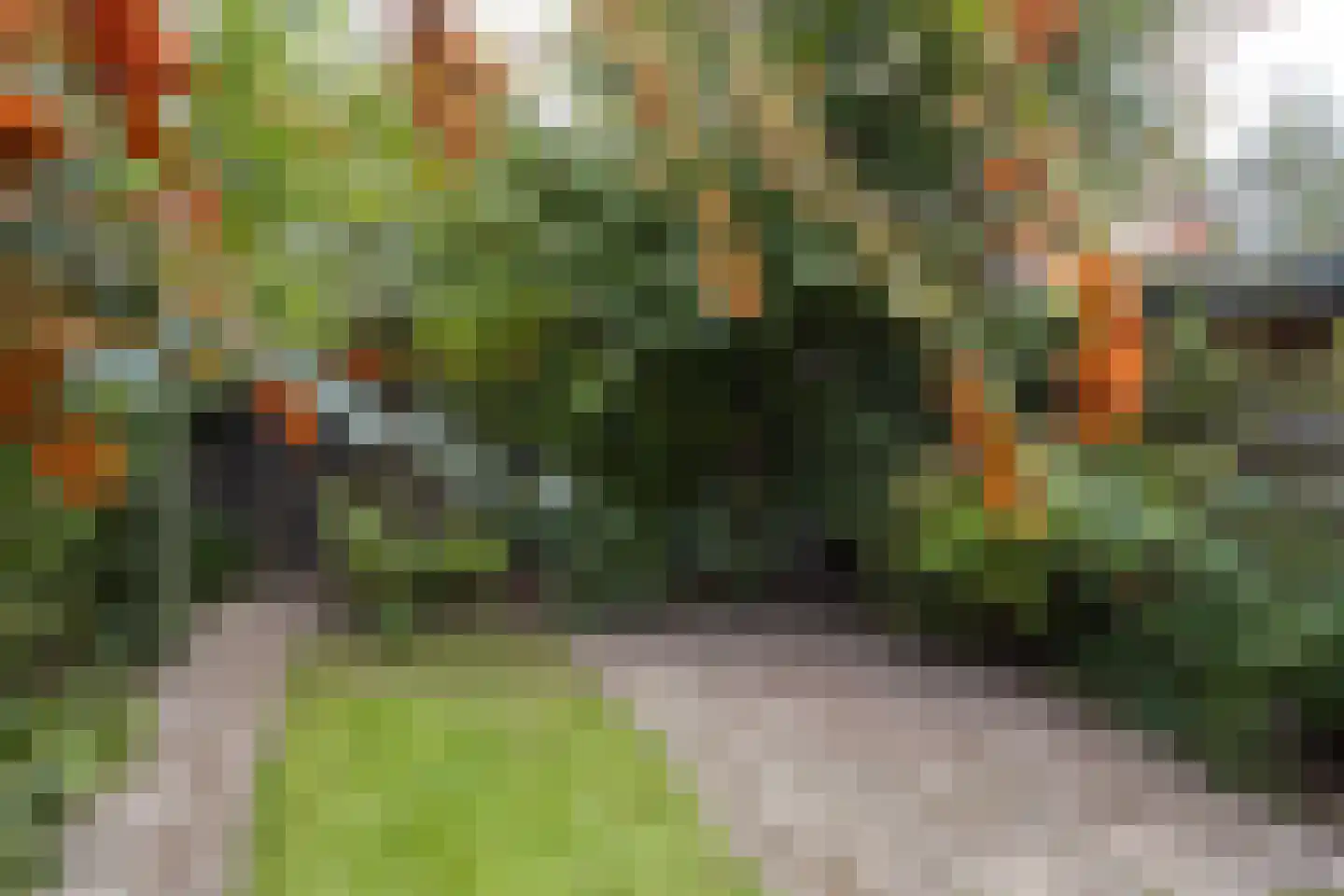 Meeuwenstraat 4 Goor thumbnail 33