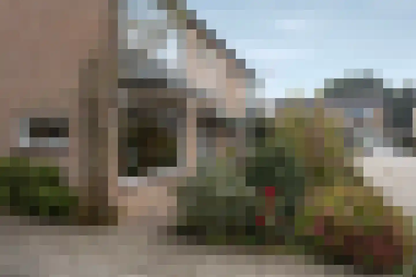 Meeuwenstraat 4 Goor thumbnail 37