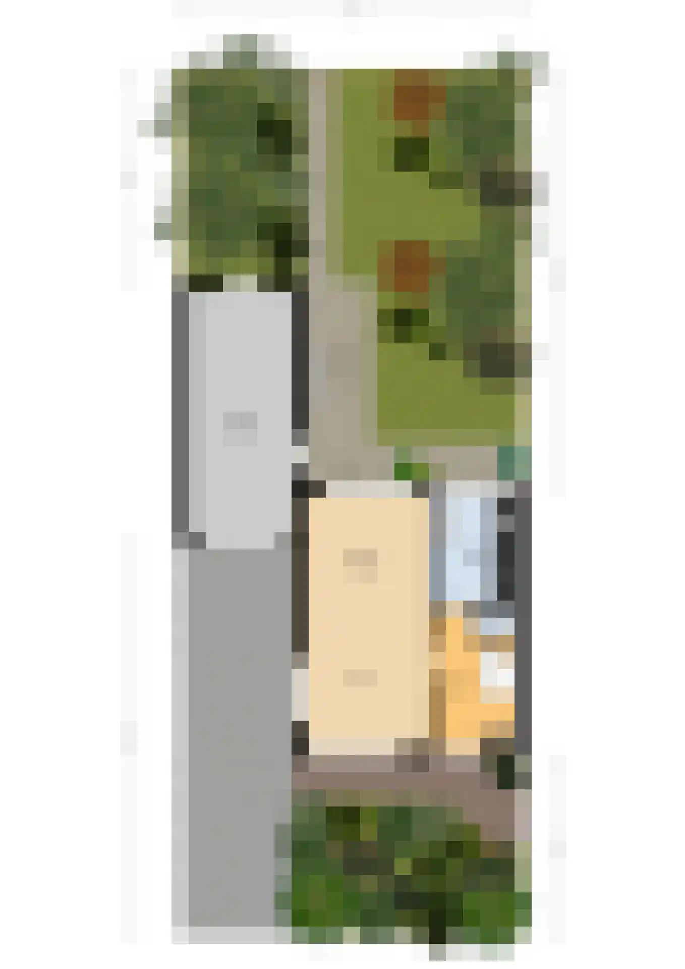 Meeuwenstraat 4 Goor thumbnail 46