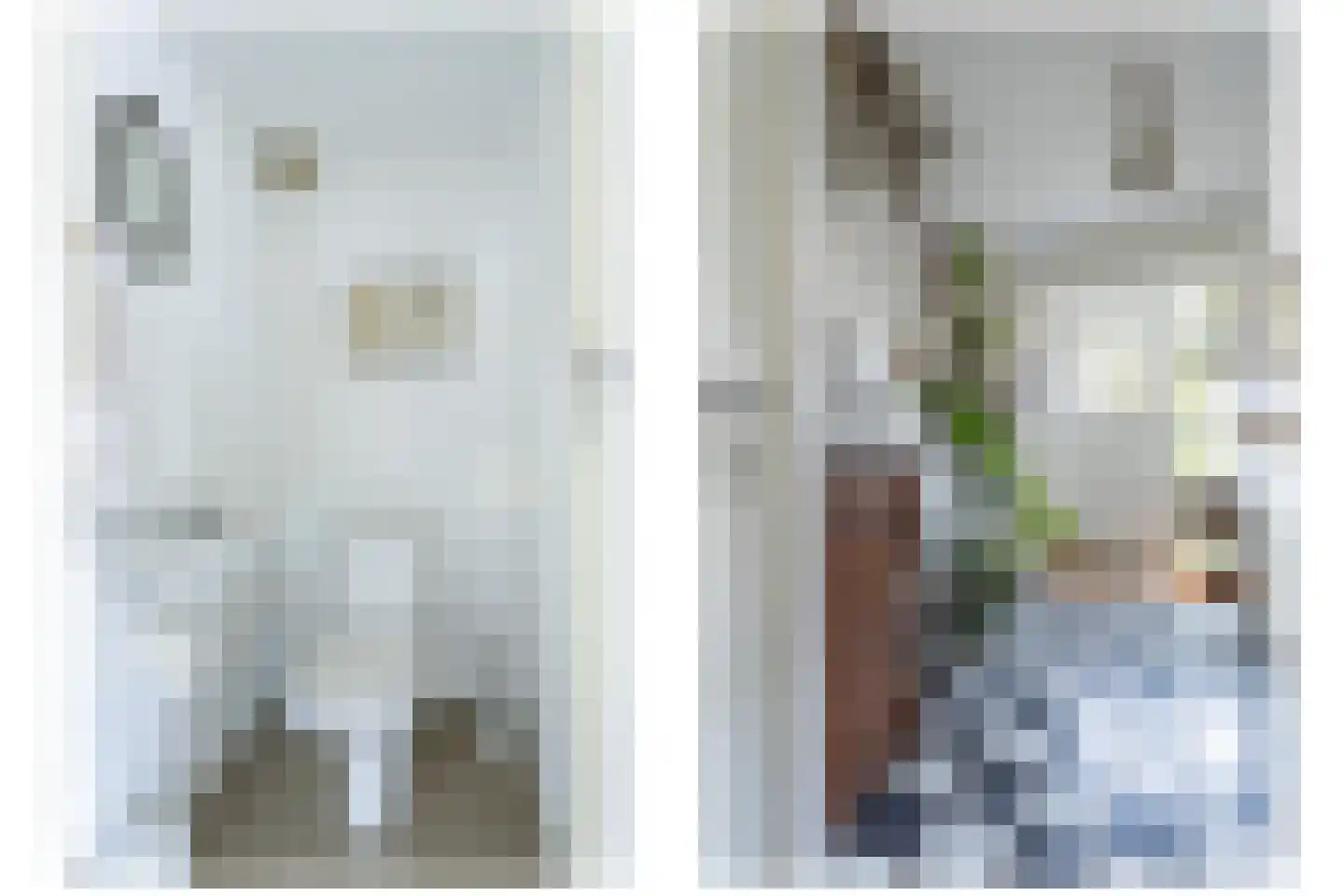 Meeuwenstraat 4 Goor thumbnail 5