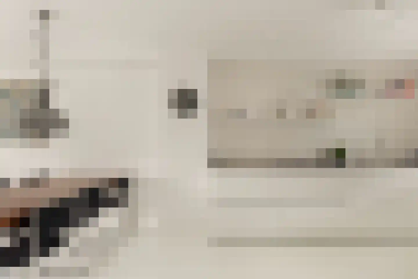 Meeuwenstraat 42 Hoofddorp thumbnail 13