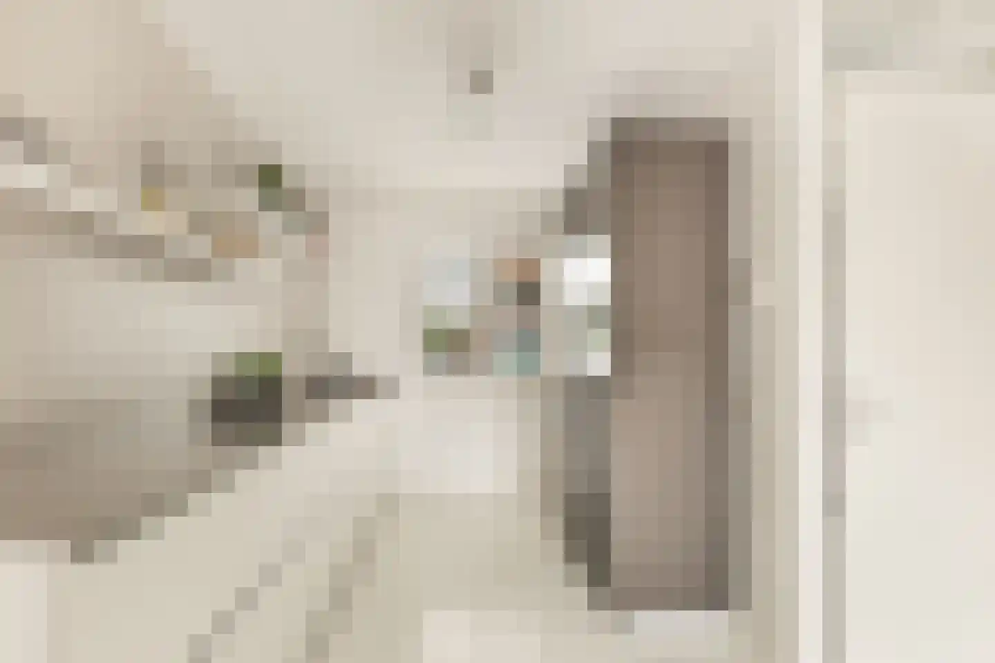 Meeuwenstraat 42 Hoofddorp thumbnail 14