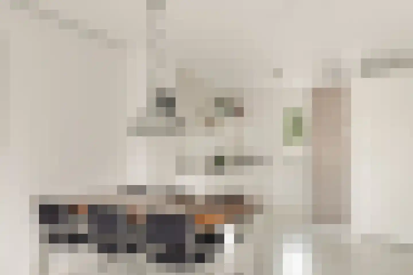 Meeuwenstraat 42 Hoofddorp thumbnail 17
