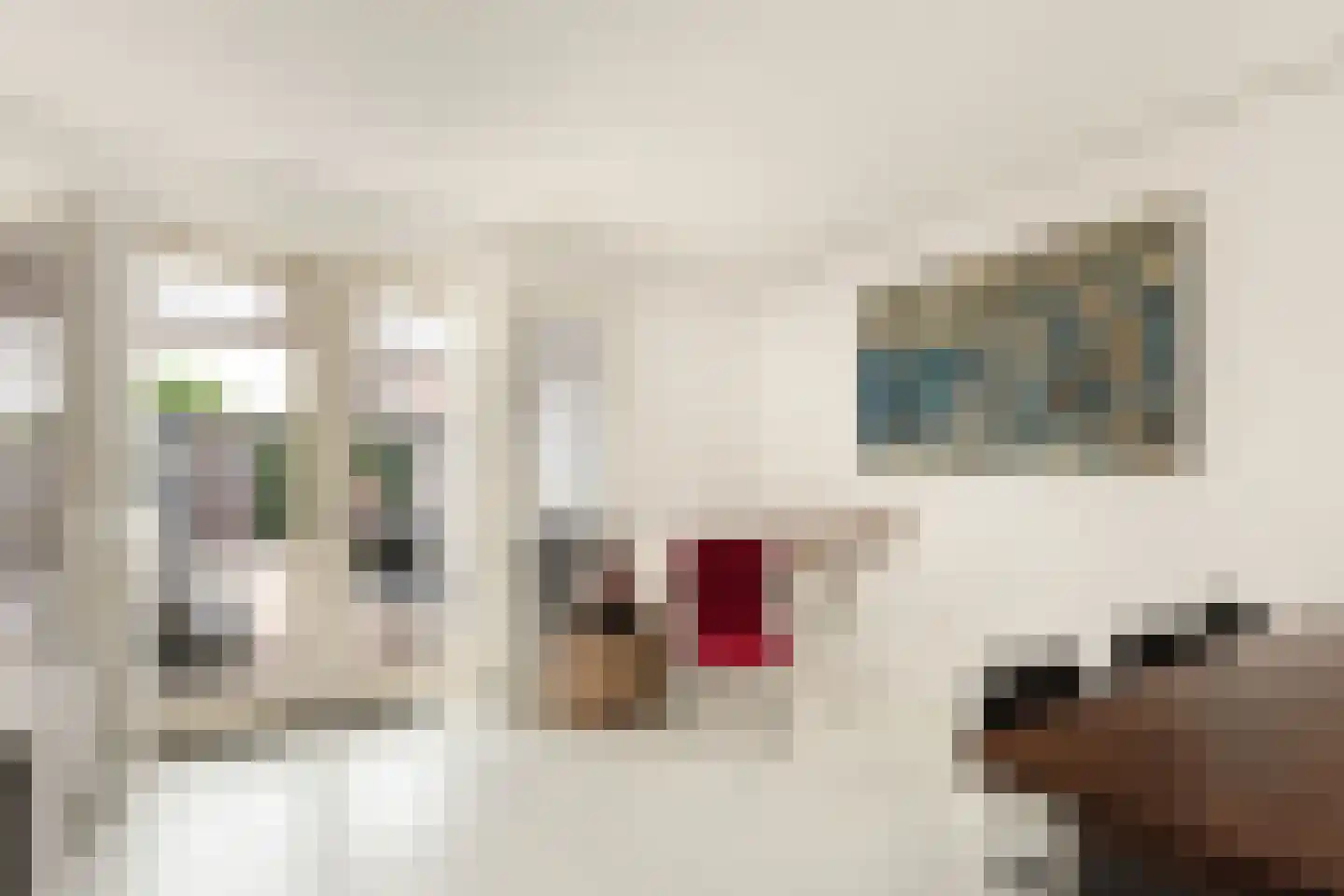 Meeuwenstraat 42 Hoofddorp thumbnail 23