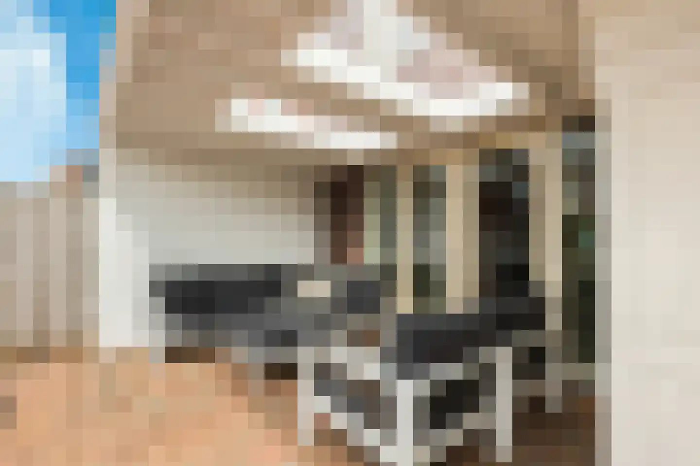 Meeuwenstraat 42 Hoofddorp thumbnail 26