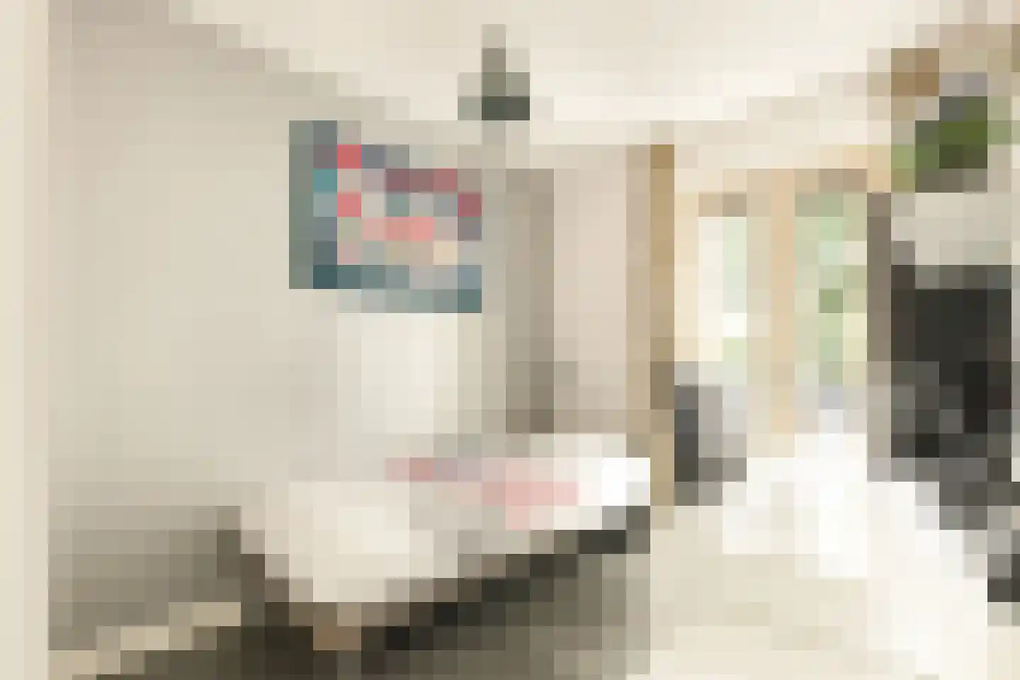 Meeuwenstraat 42 Hoofddorp thumbnail 40
