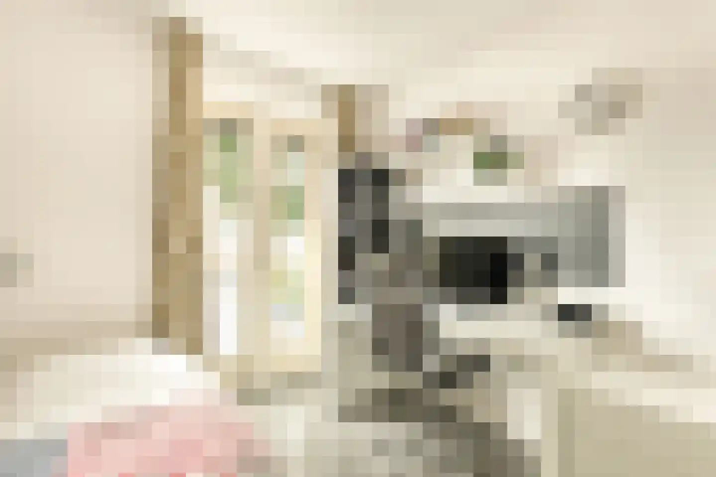 Meeuwenstraat 42 Hoofddorp thumbnail 42