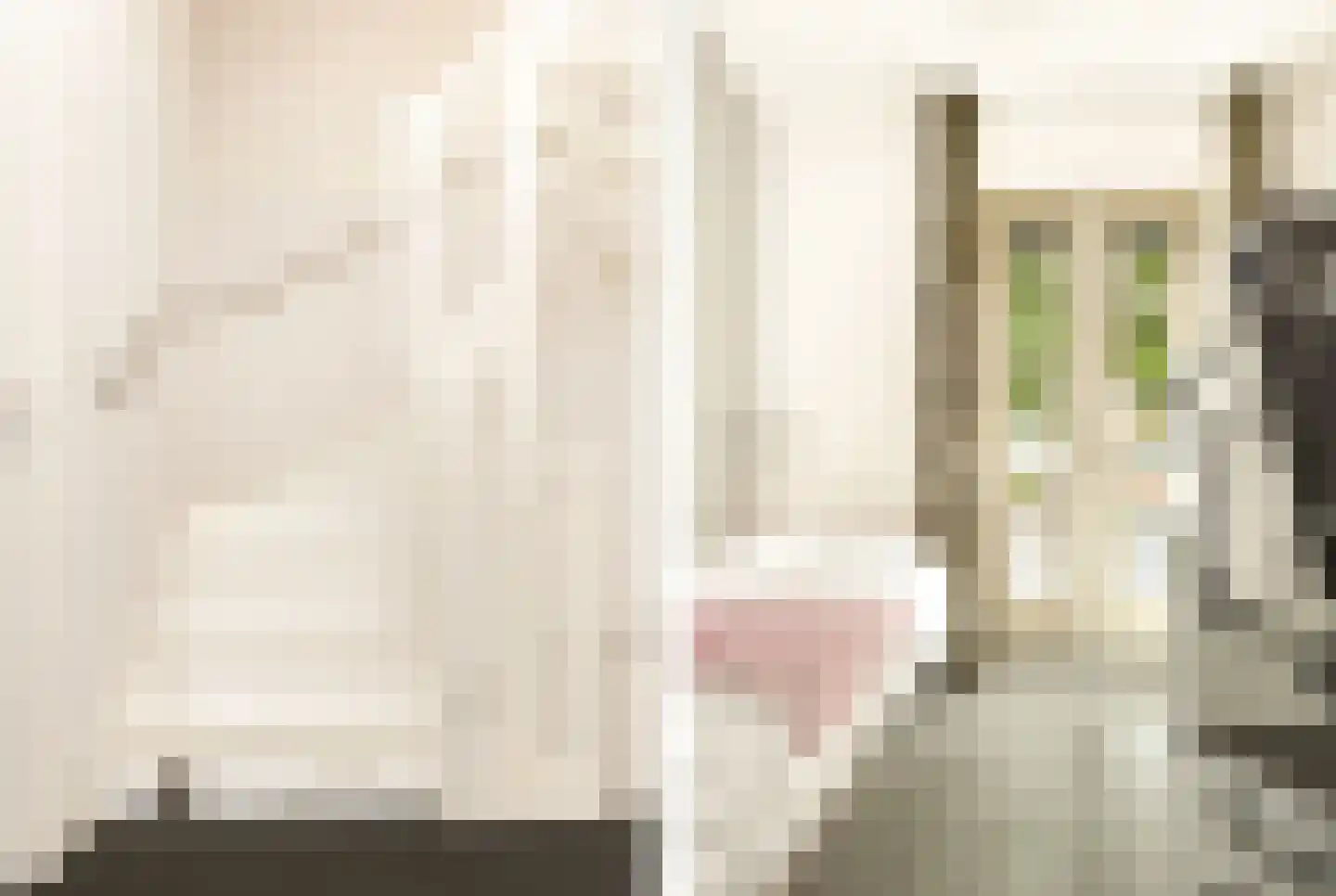 Meeuwenstraat 42 Hoofddorp thumbnail 43