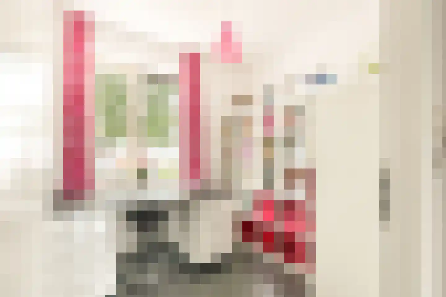 Meeuwenstraat 42 Hoofddorp thumbnail 44