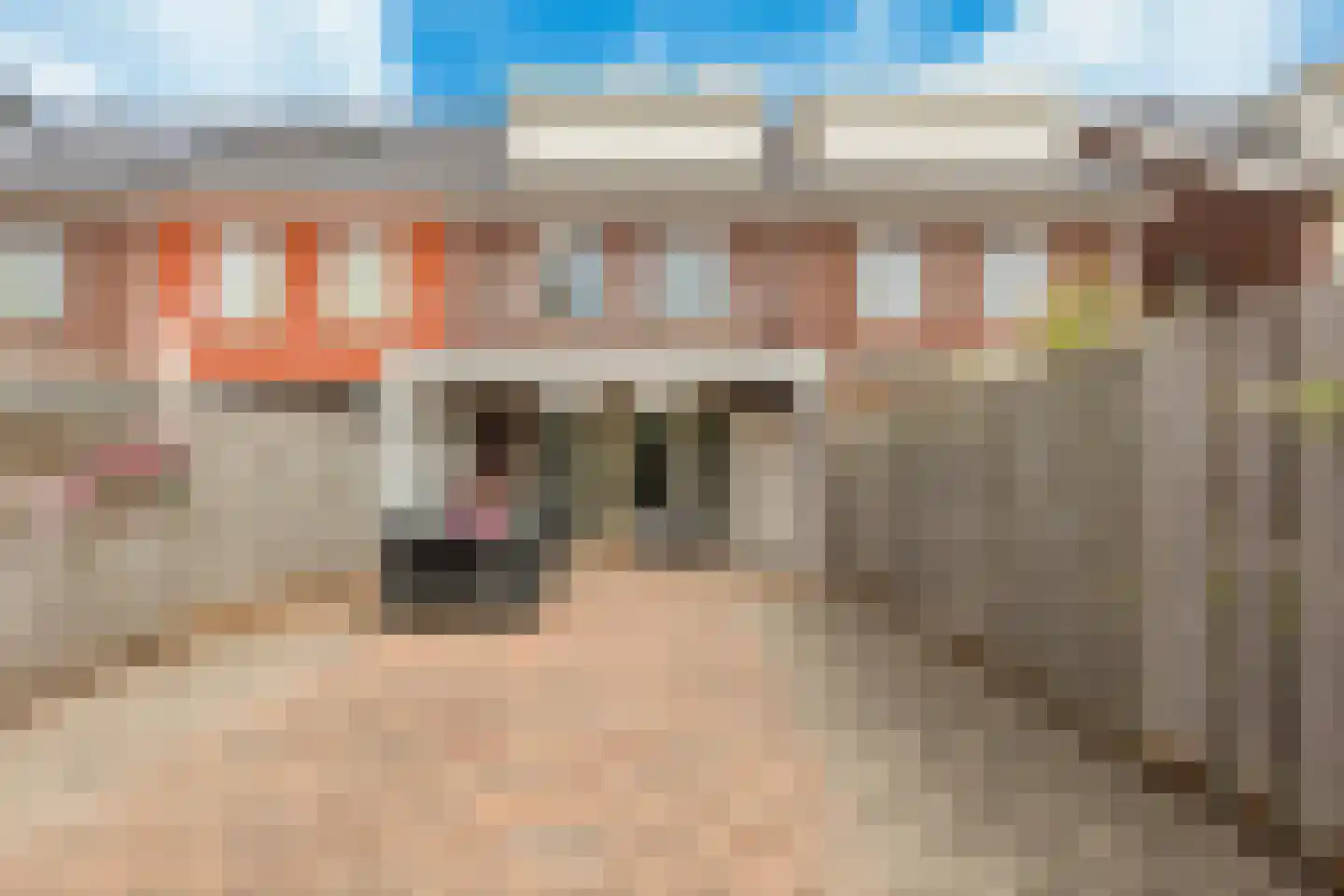 Meeuwenstraat 42 Hoofddorp thumbnail 6