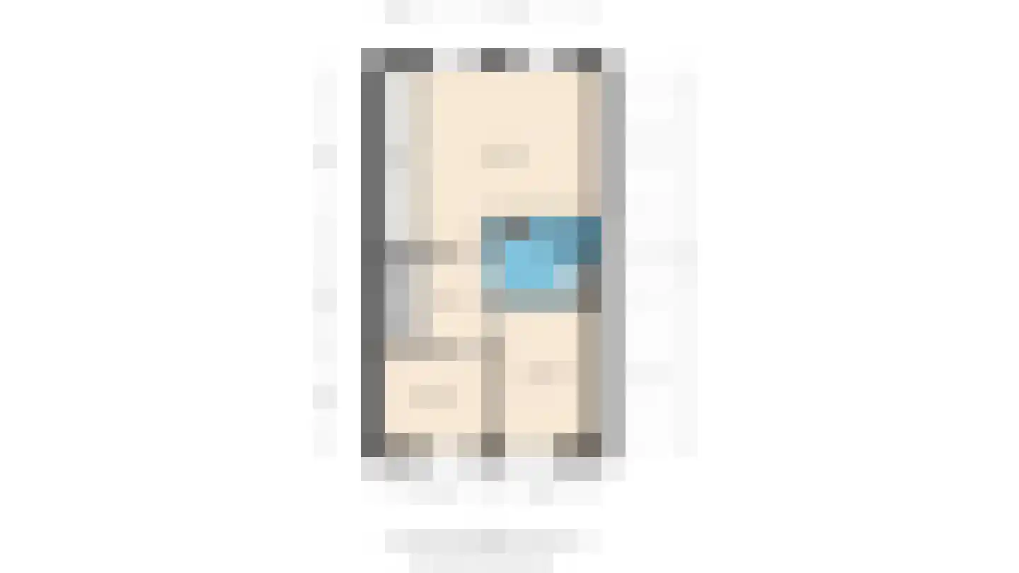 Meeuwenstraat 42 Hoofddorp thumbnail 62