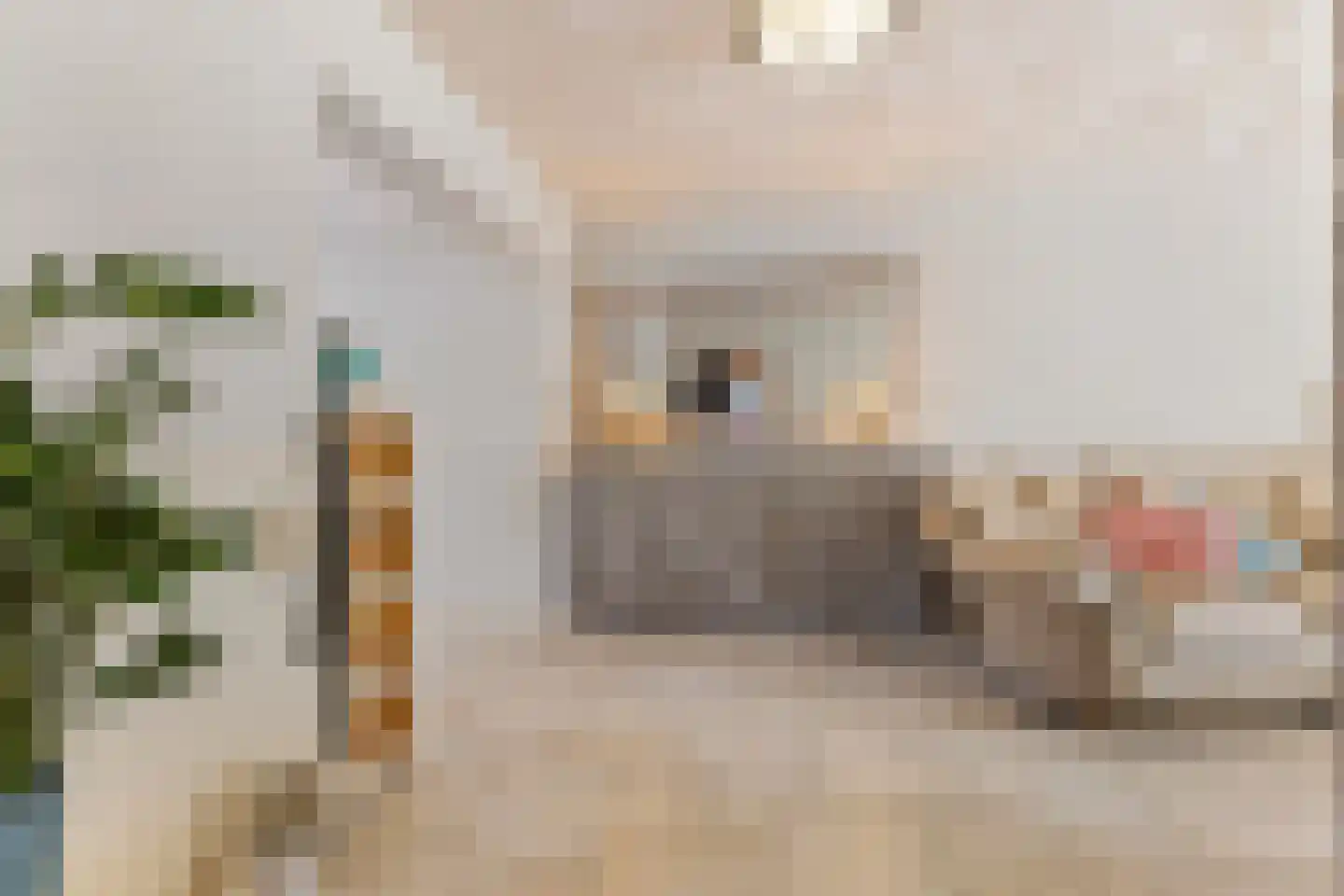 Meeuwenstraat 42 Venlo thumbnail 10